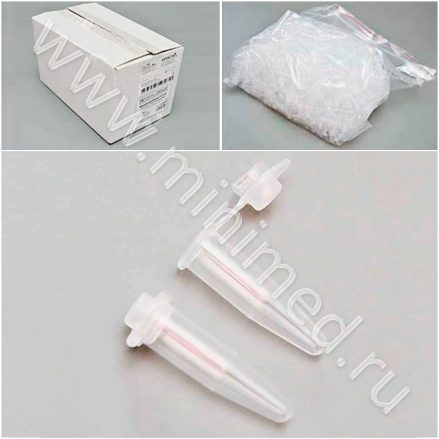 Микропробирка 0,5 мл, для ПЦР,с выпуклой крышкой,п/п,уп.1000 шт.,Аптака (с/г до 06.26г) Микропробирка 0,5 мл, для ПЦР,с выпуклой крышкой,п/п,уп.1000 шт.,Аптака (с/г до 06.26г)